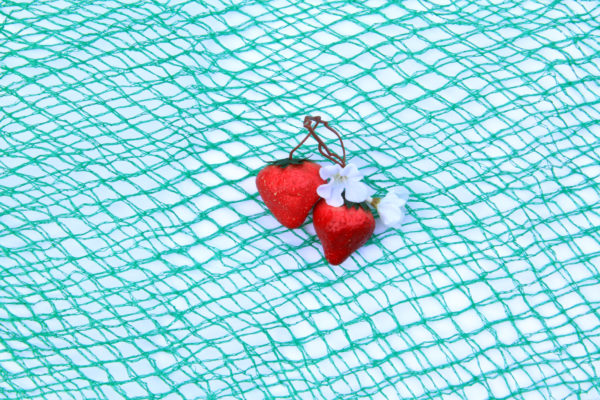 Medium Bush Bag - Image 2